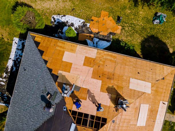Best Roof Maintenance Services  in Wofford Heights, CA