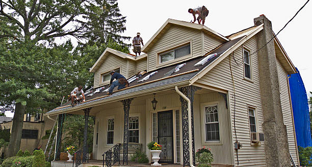 Best Shingle Roofing Installation  in Wofford Heights, CA